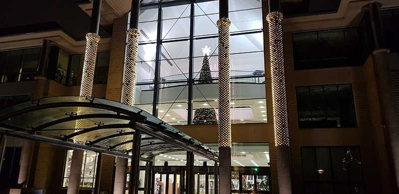 Lights Lights