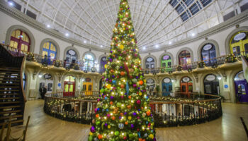 CV20_Fizzco-CornExchange_241205